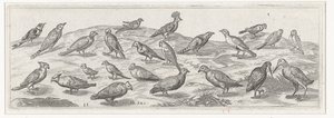 Landschap met verschillende soorten vogels Vogels en insecten (serie titel) door Simon Frisius
