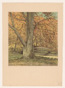Boom bij beek in de herfst door Simon Moulijn (attributed to)