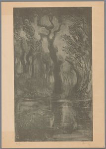 Water in bos door Simon Moulijn (signed by artist)