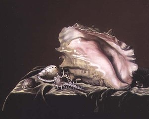 Stilleven van Schelpen