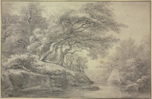 Beek aan de rand van het bos door Simon de Vlieger