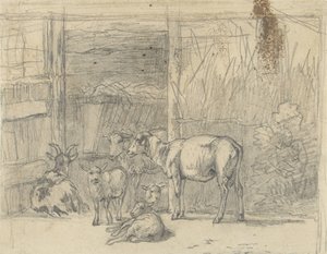 Schapen en een geit voor een stal