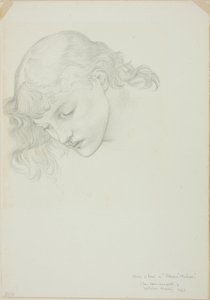 Hoofd, studie voor Spiegel van Venus door Sir Edward Burne Jones
