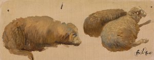 Drie Schapen in Rust