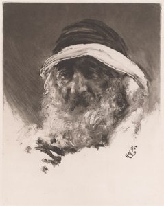 Het hoofd van een Arabier