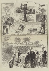Valkenjacht in Hendon door Sir John Charles Robinson