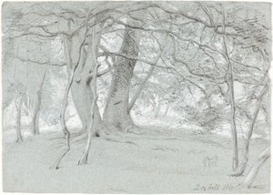 Bomen bij Box Hill