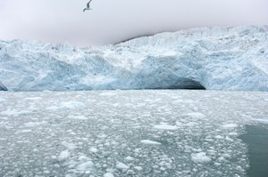 IJsbrokken van nabijgelegen gletsjers drijven in de Arctische zee, Svalbard-eilanden, Noorwegen, 2022 (foto)