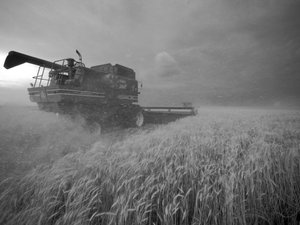Verenigde Staten, Kansas: Kansas tarwe wordt geoogst bij schemering tijdens de zomer, 2022 (foto)