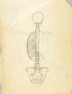 Anatomiestudie door Solon H. Borglum