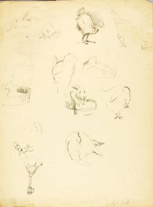 Dierstudies door Solon H. Borglum