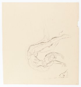 Droom van een Broncho #5