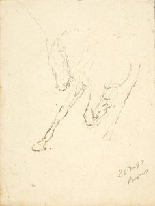 Paard door Solon H. Borglum