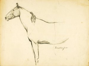 Paard door Solon H. Borglum