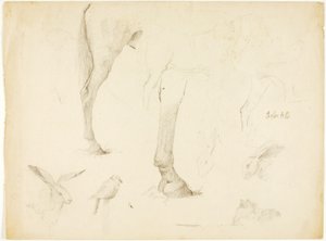 Paardenstudie en konijnen door Solon H. Borglum