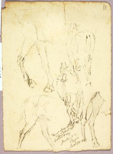 Paarden door Solon H. Borglum