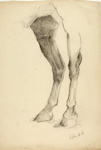 Paardenbeen door Solon H. Borglum