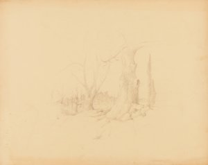 Landschap door Solon H. Borglum