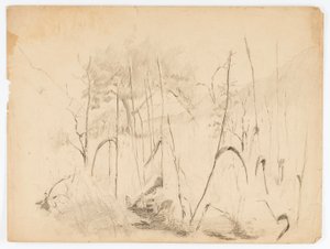 Landschap door Solon H. Borglum