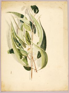 Plantenstudie, laat 19e-vroeg 20e eeuw door Solon H. Borglum