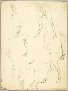 Portretstudie, Paardenstudie door Solon H. Borglum