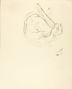 Zwemmer door Solon H. Borglum