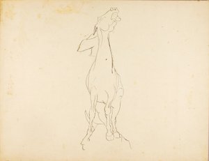 Zonder titel door Solon H. Borglum