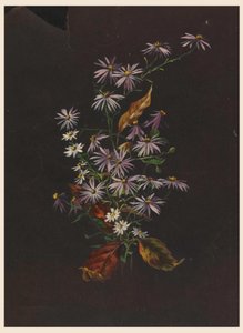 Herfstboeket, ca. 1890 door Sophia L. Crownfield