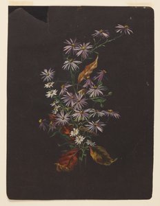 Studie van een Herfstboeket door Sophia L. Crownfield