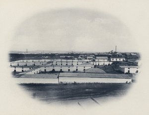 Inheemse Compagnie, New Primrose Gold Mining Company (zwart-wit foto)