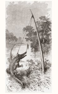 Een alligatorval aan de Oyapock of Oiapoque rivier, die de grens vormt tussen Frans-Guyana en Brazilië door Spanish School