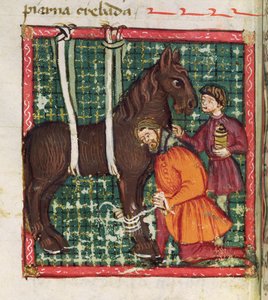 Ms 214 fol.31v Het herstellen van het gebroken middenhandsbeentje van een paard, uit Libro de Menescalcia y Albeyteria door Juan Alvarez, ca. 1390