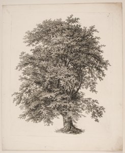 "Studies naar de Natuur met Betrekking tot Landschapstekening van S.H. Petersen", nr. 2 door Søren Henrik Petersen