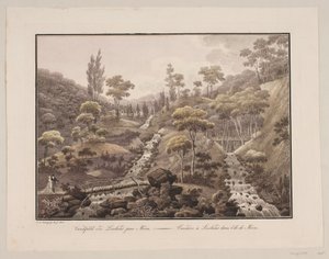 Waterval bij Liselund op Møn door Søren L. Lange