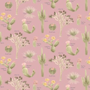 Mojave Woestijn Cactussen Patroon door Stacy Hsu