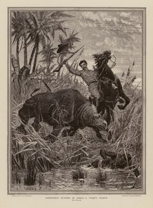 Neushoornjacht in Afrika