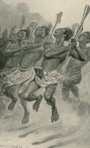 Een Maori oorlogsdans