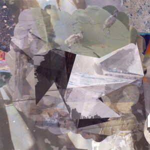 Gelaagde abstracte vogels