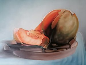  door Stefano Mazzolini
