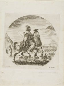 Zwarte ruiter