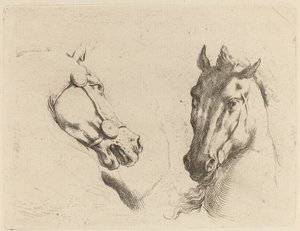 Hoofd van een paard in profiel en in driekwart