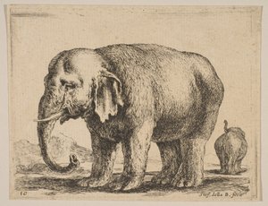 Blad 10: olifant, uit Diverse dieren Diversi animali, ca. 1641