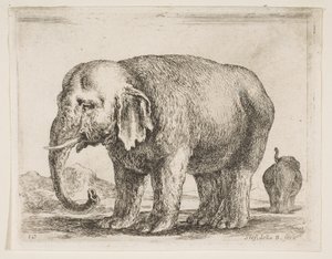 Plaat 10: olifant, uit Diverse dieren Diversi animali, ca. 1641