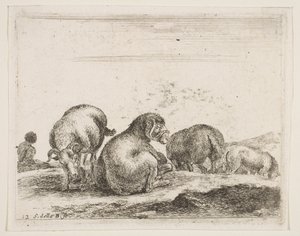 Plaat 12: schapen en ram in een weiland, uit Diverse dieren Diversi animali, ca. 1641 door Stefano della Bella