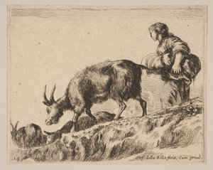 Plaat 14: herderin die geiten hoedt