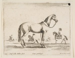 Plaat 21: paard, uit Diverse dieren Diversi animali, 1641 door Stefano della Bella
