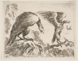 Plaat 2: adelaar en arend, uit Diverse dieren door Stefano della Bella