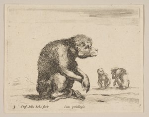 Plaat 3: zittende aap, uit Diverse dieren Diversi animali, ca. 1641 door Stefano della Bella