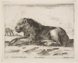 Plaat 5: liggende leeuw, uit Diverse dieren Diversi animali, 1641 door Stefano della Bella