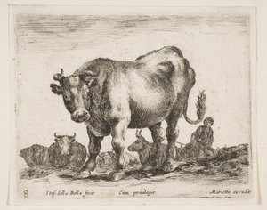 Plaat 8: koe, uit Diverse dieren Diversi animali, ca. 1641